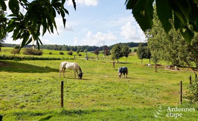 Vakantie op de boerderij in Plombires voor 11 personen in de Ardennen